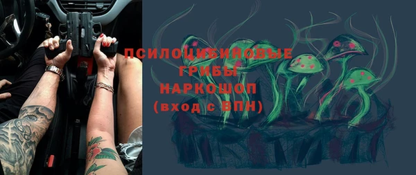 бошки Богородицк