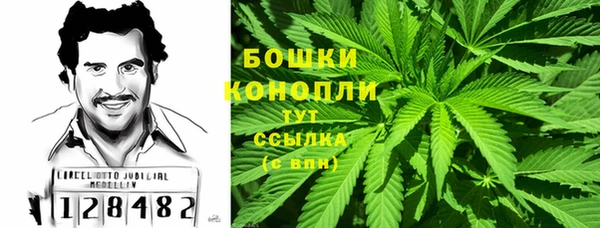 бошки Богородицк