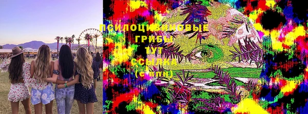 бошки Богородицк